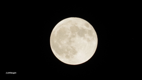bi240918.jpg