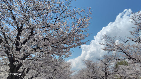 bi250406-003.jpg