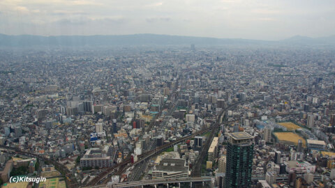 bi250810-001.jpg