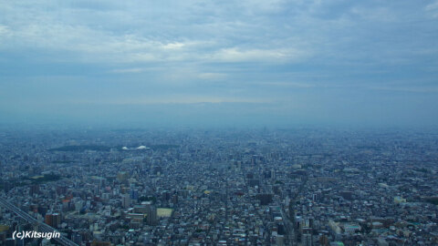bi250810-003.jpg