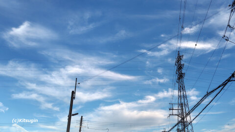 bi251011-003.jpg bi251011-003.jpg