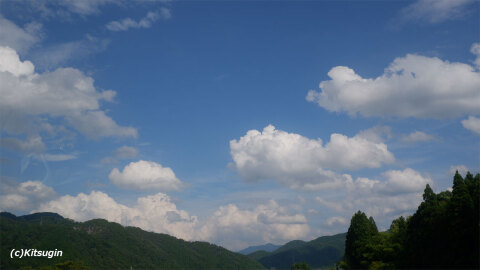 bi251103-001.jpg bi251103-001.jpg