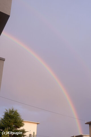 bi251103-004.jpg bi251103-004.jpg