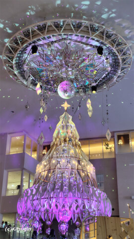 bi251201-001.jpg bi251201-001.jpg