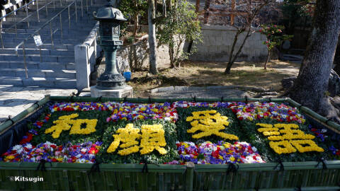 bi260101-007.jpg bi260101-007.jpg