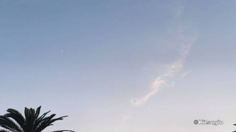 bi20260621.jpg
