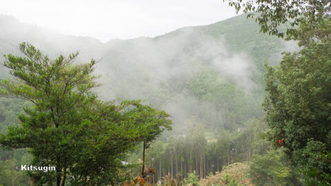 bi260903-004.jpg
