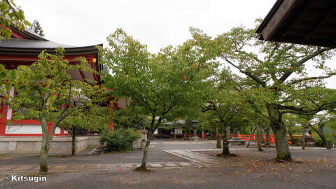 bi260903-007.jpg