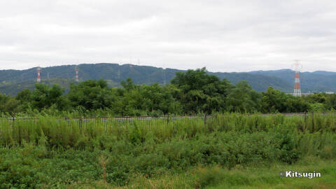 bi260906-002.jpg bi260906-002.jpg