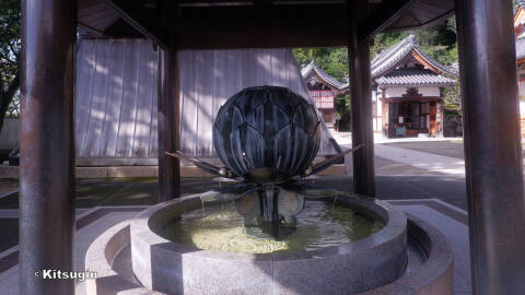 bi261006-002.jpg bi261006-002.jpg