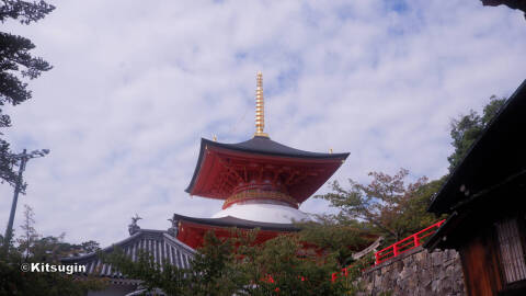bi261006-004.jpg bi261006-004.jpg