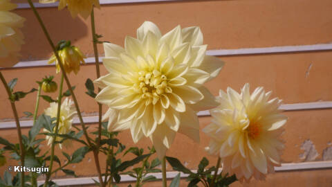 bi261006-005.jpg bi261006-005.jpg
